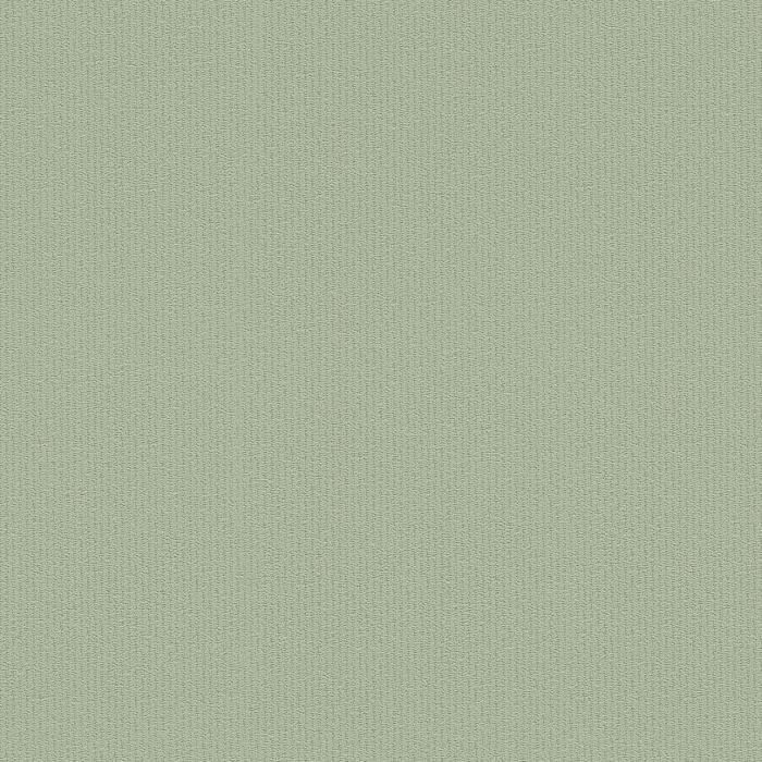 A.S. Creation Jette 5 | 373655 | papier peint intissé uni | 0.53 m x 10.05 m | vert