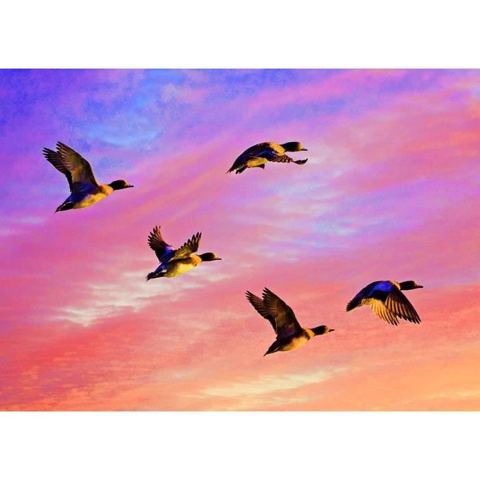 RICUVED Oiseau Diamond Painting Kit -Animaux Peinture Diamant