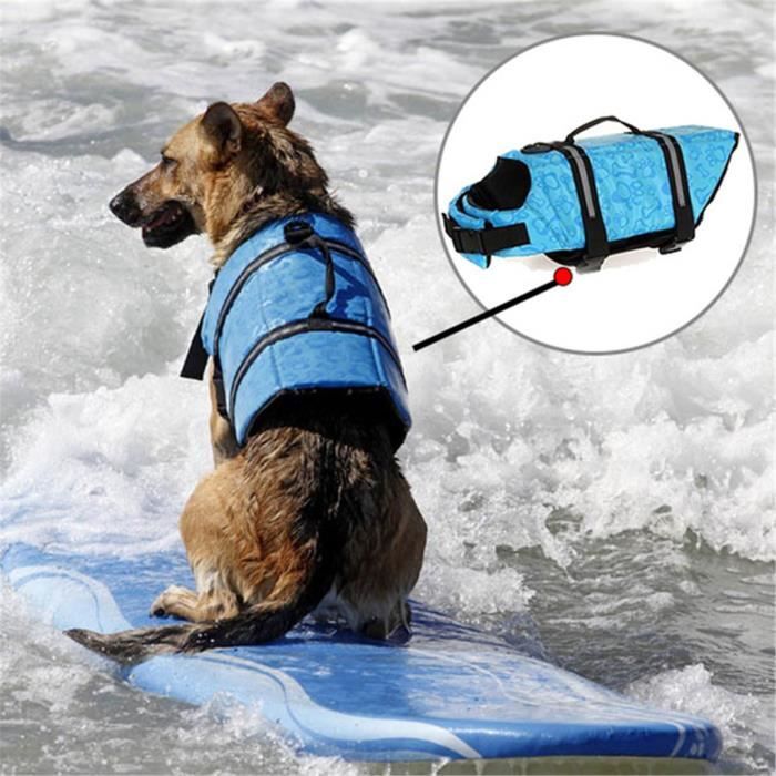 Gilet De Sauvetage Chien Chat Animaux Natation Plage Kayak Securite Taille S Os Bleu Cdiscount