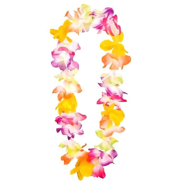 Tout sur les Fleurs Hawaiiennes | La Chemise Hawaienne