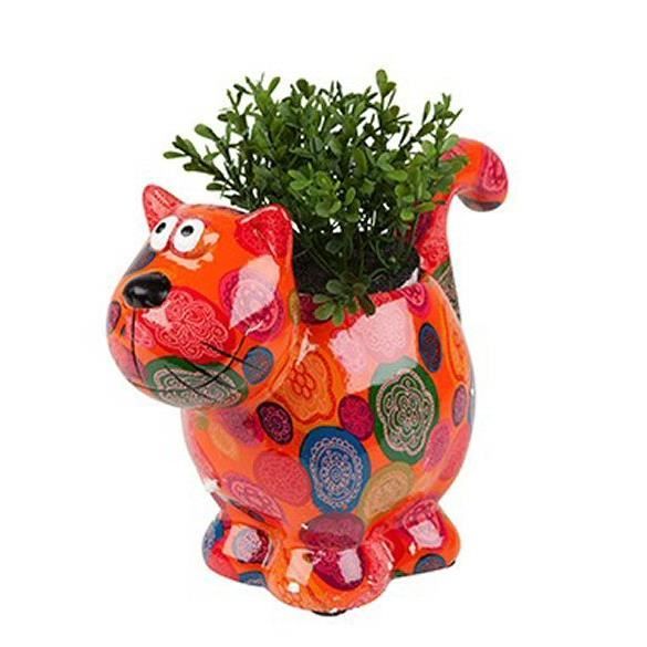 Chat Cache Pot Pour Plantes Ou Herbes Aromatiques Graines Persil Offertes B Cdiscount Maison