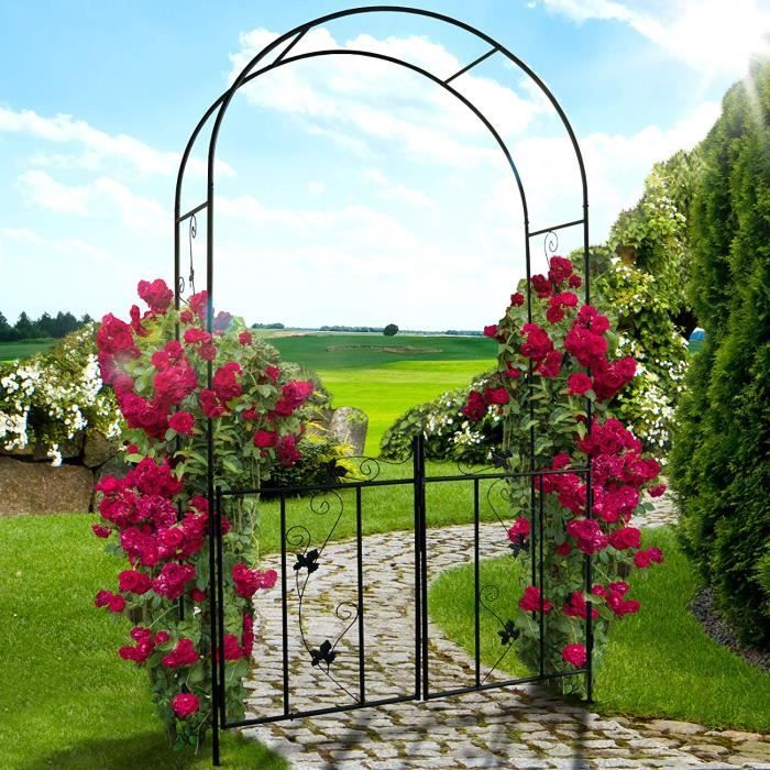 Arche De Jardin Avec Portillon 110x214x38 Cm En Acier
