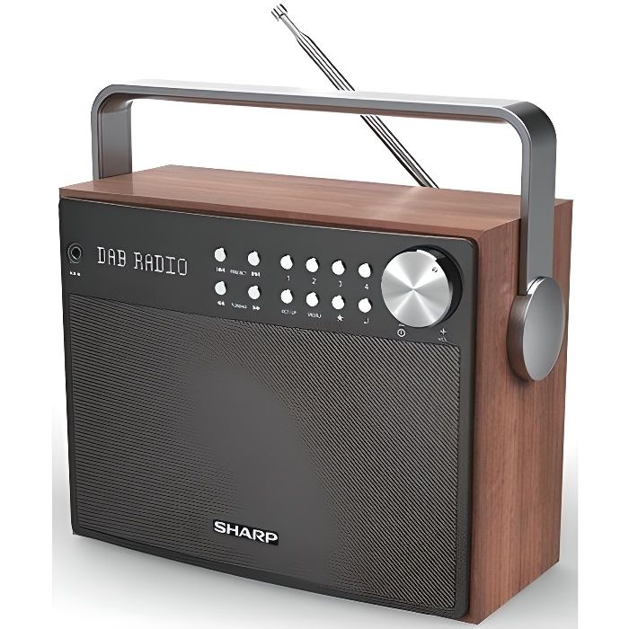Radio DAB Sharp DR-P350 TU - TV Son Photo