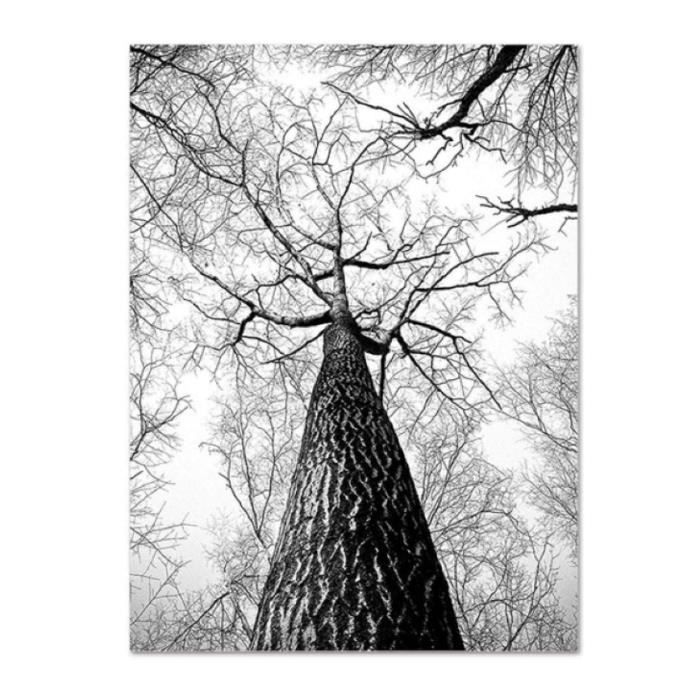 Tableau noir et blanc moderne - Forêt Noire par Art BG Créations