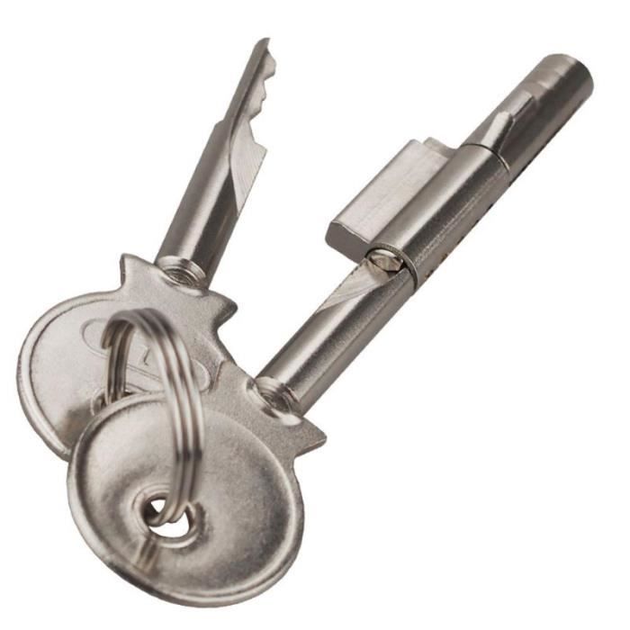 JCBIZ Lot De 2 Serrures à Cliquet Pour Porte Coulissante En Verre De Grande Taille Pour Terrarium, Vitrine, Vitrine, Armoire, Serrures De Porte Coulissante En Verre Avec Clés, Quincaillerie Pour