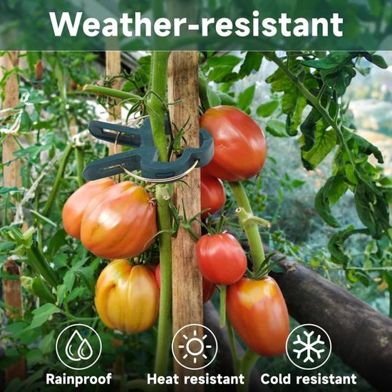 LXYYDS 200 Pièces Clips De Support Pour Plantes Grimpantes - Clips Tomates Et Légumes