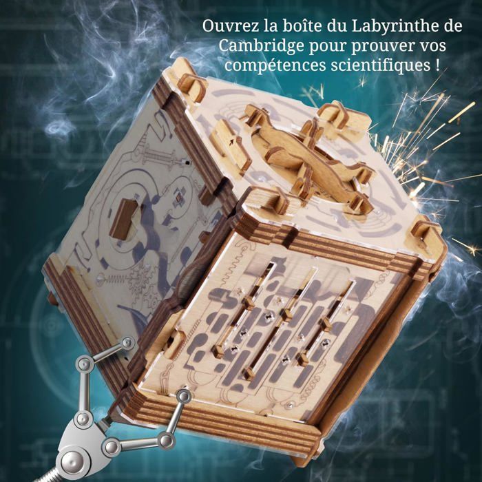 Jouet De Labyrinthe | Bille Roulante Casse-tête - Cube Labyrinthe 3D