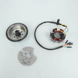 Bougie dallumage NGK Moto Derbi 50 Gpr R Euro 3 2013-2016 BR8ES Neuf