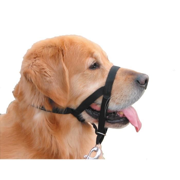 Nobby Easy Leader Muselière pour Chien Noir Taille 2: Animalerie