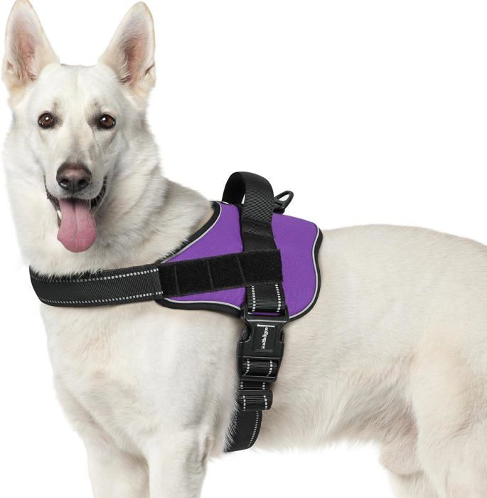 Meilleurs prix pour Harnais Chien Harnais Anti Traction pour Chien Réfléchissant Réglable Respirant Facile à Mettre avec Poignée Contrôle Violet XL