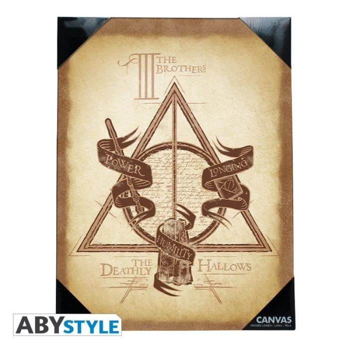 Toile Harry Potter Reliques De La Mort 30x40 Abystyle Cdiscount Maison
