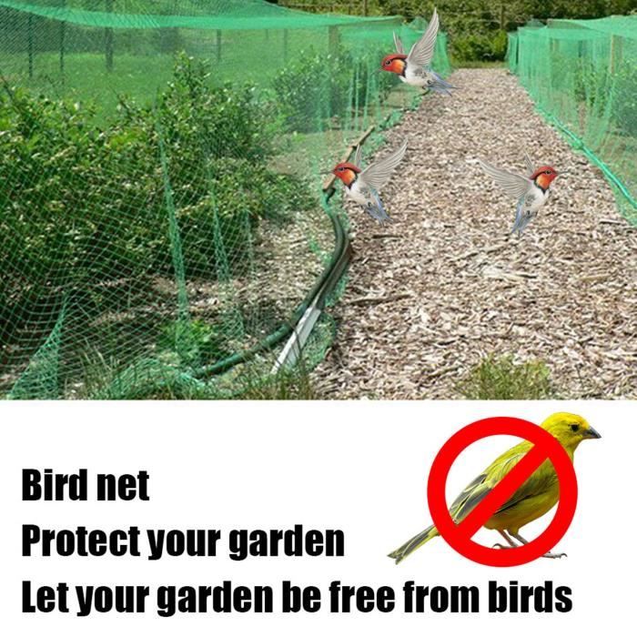 BIRDNET Filet de protection oiseaux PE Vert 2x10m