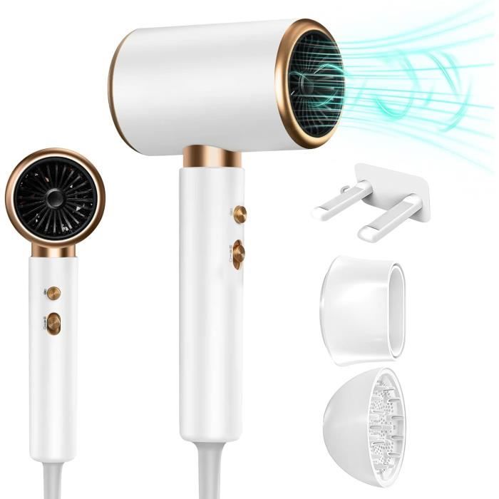 Sèche-cheveux Professionnel - Lonique Négatif Et Température