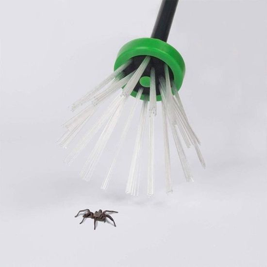 Attrape-araignées - Pince à araignées en plastique - Attrape-araignées à  main longue 