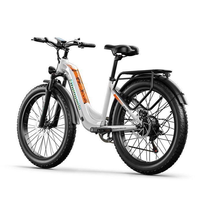 Vtt electrique hotsell femme cdiscount
