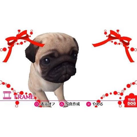 The Dog Happy Life [japon import] [Sony PSP] - Cdiscount