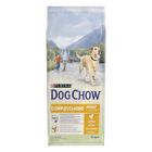 DOG CHOW Chien Complet/Classic avec du Poulet - 14 KG - Croquettes pour chien adulte