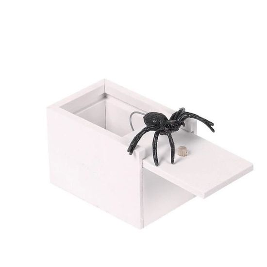 Boite Surprise Araignee, Boîte de Blague d'araignée,Amusant Réutilisable Boite Araignee A Farce Scary Fausses Araignées Boîte Blague - Maison