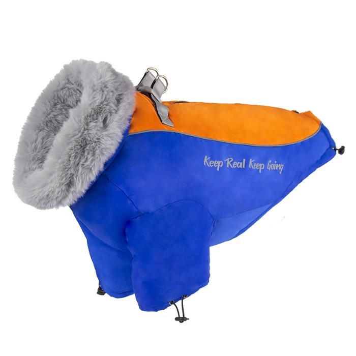 Meilleurs prix pour 1 manteau à coque dure pour chien vêtement dautomne et dhiver manteau épais et chaud rembourré pour chien