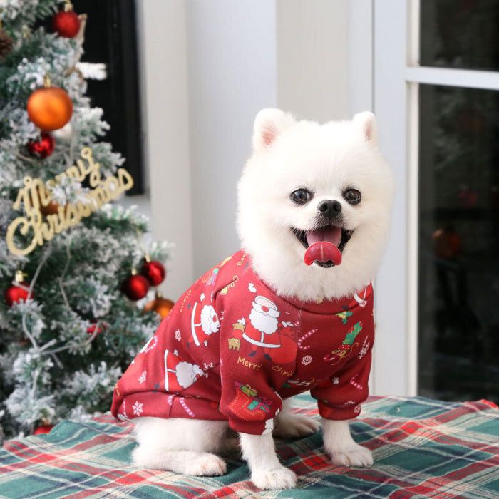 Pull chaud pour chien vêtements pour chien et chat（S） .