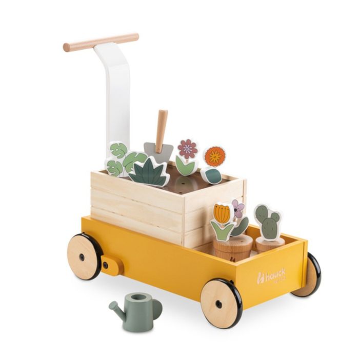 Porteur Learn to Walk - Plantes Reconditionné - Hauck reconditionné disponible sur Cdiscount Seconde Vie