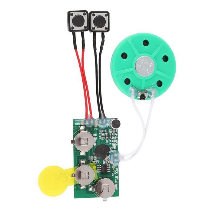 Module Vocal/sonore Enregistrable Pour Cartes DIY Ou Boîtes à Musique - Jusqu'à 30 Secondes, Avec Haut-parleur