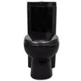 Moderne - WC Cuvette Toilette céramique Noir☆3228-1