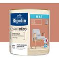 RIPOLIN ESPRIT DECO MULTI-SUPPORTS 0,5L-1