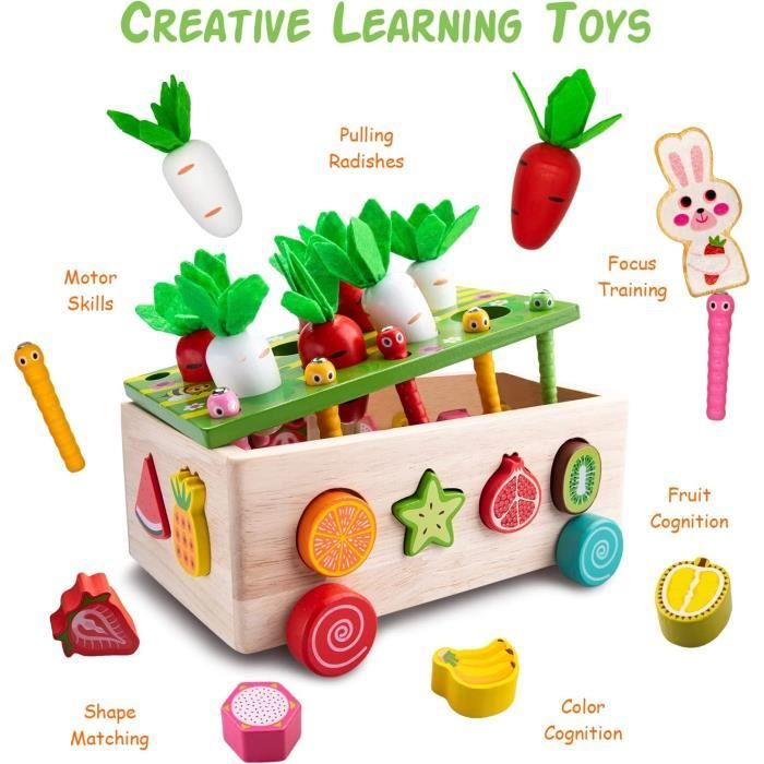 Jeu éducatif grammaire Montessori pluriel & genre Jeux2mômes