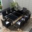 Jeu De Mobilier De Jardin 17 Pcs Salon De Jardin Noir Resine