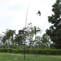 Effaroucheur d'oiseaux Defenders - XIF Épouvantail cerf volant avec mât télescopique FA001
