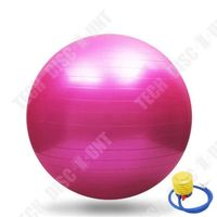 TD® Swiss Ball 65 cm pour Exercice Yoga/ Gym /Fitness/ Swiss Ball Anti-éclatement + Pompe Rose fournie