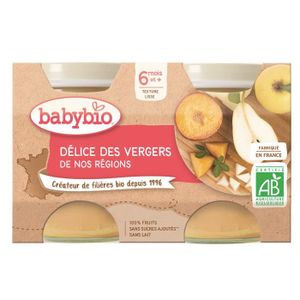 COMPOTE DESSERT FRUITÉ Babybio - Petit Pot Bébé Délice des Vergers - Bio - 2x130g - Dès 6 mois