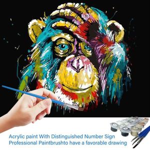 Peinture Par Numero Adulte Achat Vente Pas Cher