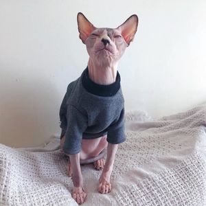 Vetement Pour Chat Achat Vente Pas Cher