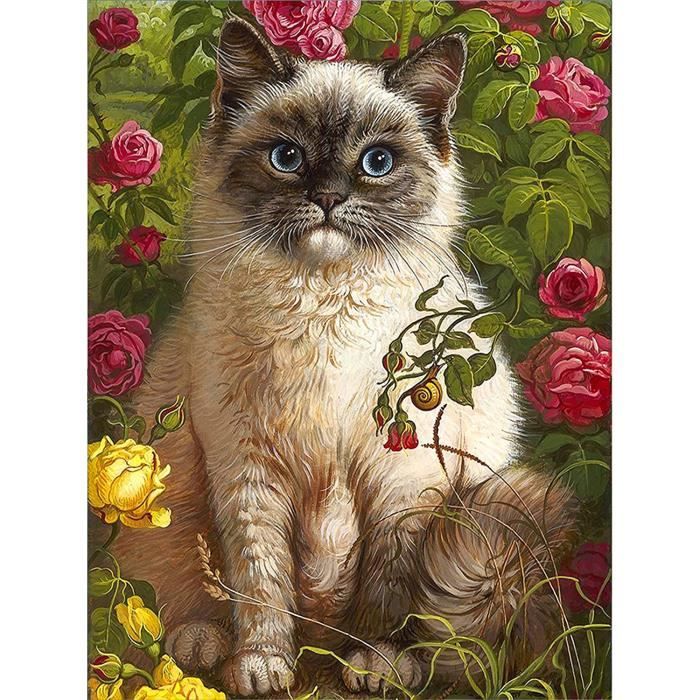 Kit Diamond Painting Chat 5D - Tableau Strass DIY 30x30 Cm Complet, Décoration Murale Pour Adultes Enfants