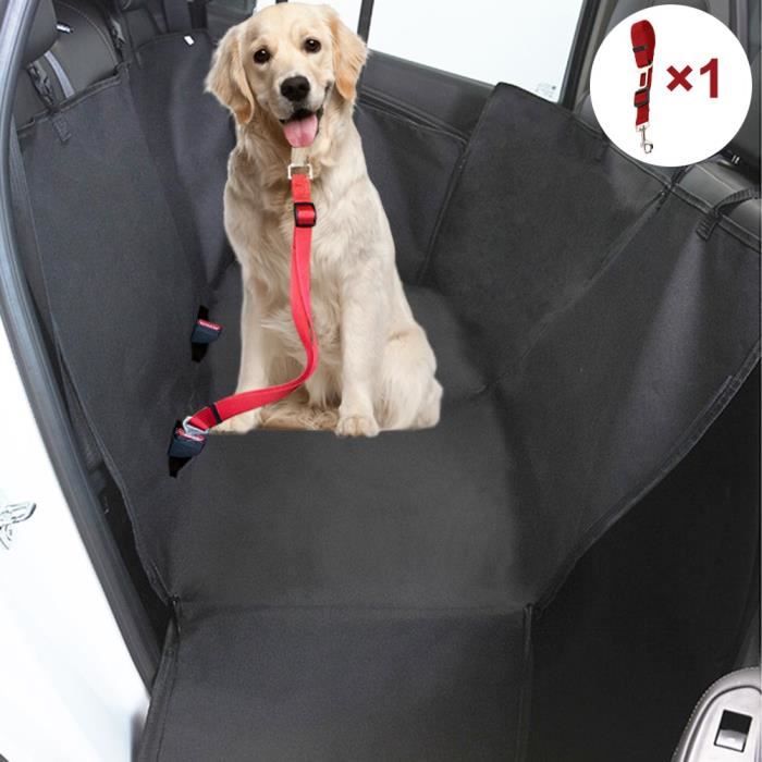 Housse de protection auto pour chien siège avant NORAUTO - Norauto