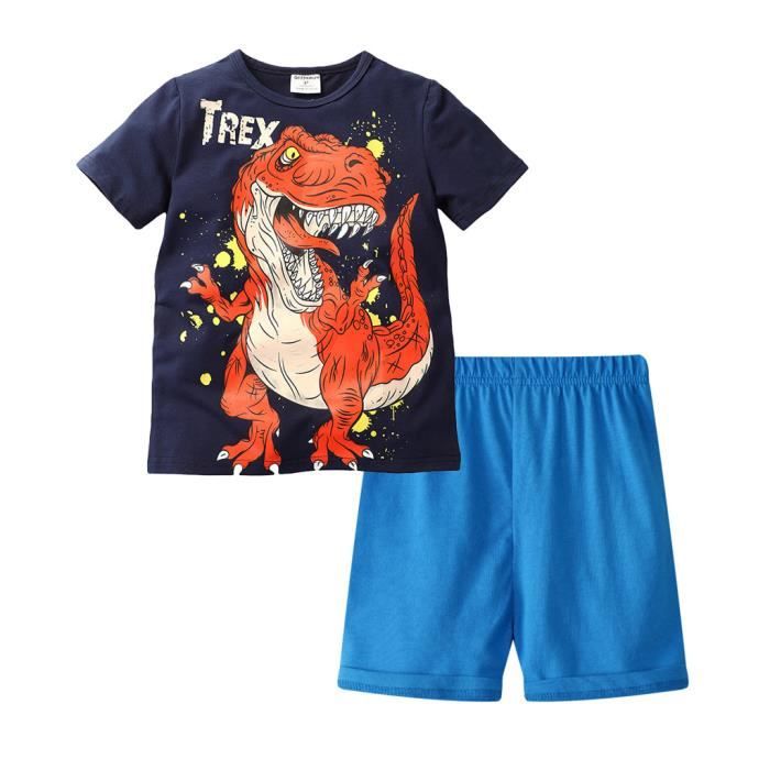 Ensemble Bébé Garçon Imprimé Dinosaure - Haut Et Pantalon Manches Longues En Coton Doux - 6 Mois à 4 Ans - 12