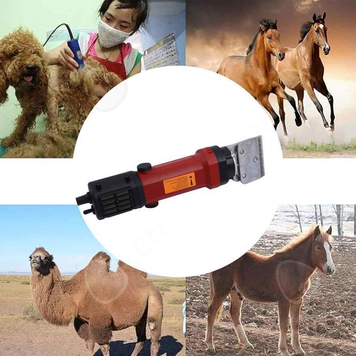 Tondeuse à Moutons Électrique CGOLDENWALL 690W - 6 Vitesses Réglables - Lame 13 Dents - Pour Laine Mouton/Chèvre