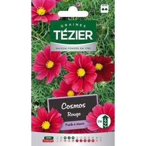 GRAINE - SEMENCE Tezier - Cosmos Rouge -- Fleurs annuelles - Sachet