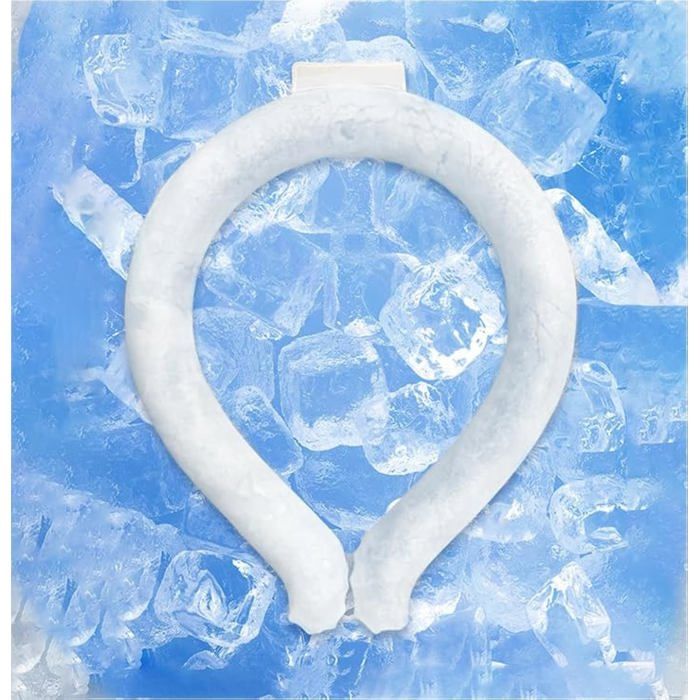 Bloc de glace pour glacière | Portable et réutilisable, bloc de refroidissement d'air froid – Maison ferme dortoir, bureau, camping, pique- nique, pêche Bloc de glace pour glacière | Portable et réutilisable, bloc de refroidissement d'air froid – Maison ferme dortoir, bureau, camping, pique- nique, pêche