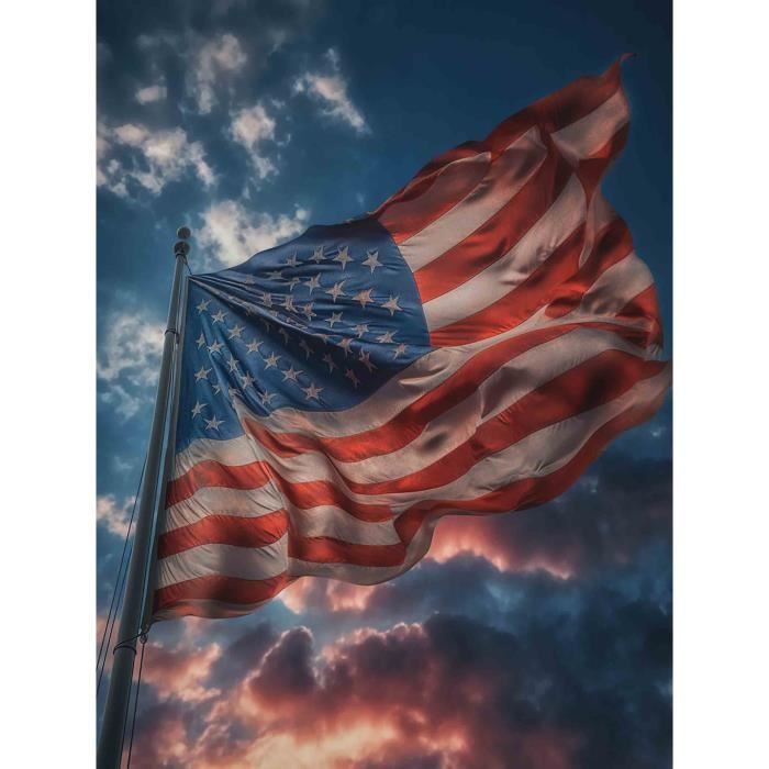 Bimkole 5D Diamond Painting DIY Kits Aigle Animaux, Broderie Diamant Kits De Broderie Au Point De Croix Strass Rond Résine Peinture Décor à La Maison 30x40 Cm#az276