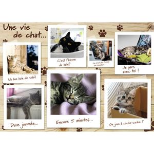 PUZZLE Nathan - 87778 - Puzzle 1500 pcs chatons, Une Vie 