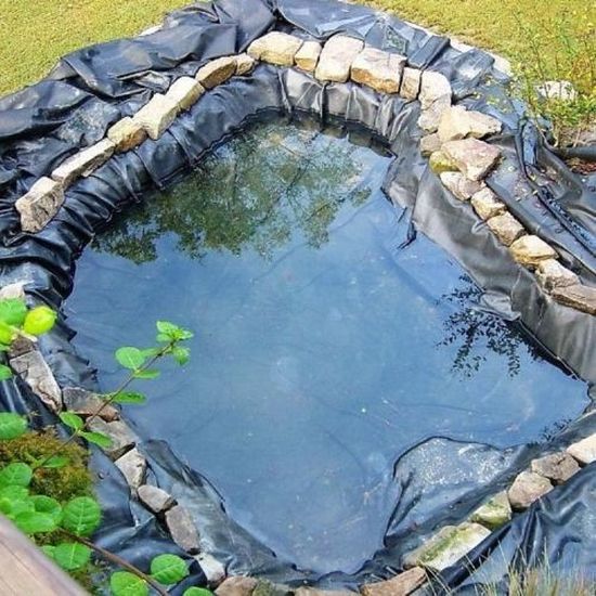 Aquagart Bâche De Bassin PVC 5m X 6m Noire 0,5mm - Étanche Et Résistante Pour Jardin