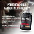 CREATINE HARDCORE (1,5Kg)| Créatines|Tropical|Superset Nutrition ropical-2
