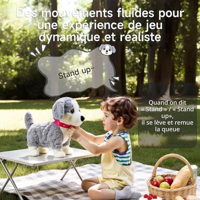 Chiot Interactif En Peluche – Marche, Parle, Aboie, Remue La Queue, Commande Vocale (Anglais) Pour Enfant 3 Ans+
