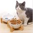 2pcs Gamelles En Ceramique Surelevees Pour Chat Avec Supports En Bois Pour Chats Et Petits Chiens Achat Vente Gamelle Ecuelle 2pcs Gamelles En Ceramique Cdiscount