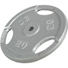 Gorilla Sports® Disques de Poids- 20kg, 30/31mm, Fonte, Argent - Disques d'Haltères, Ensemble de Plaques, Musculation, Fitness, Gym
