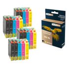 QUALITONER - 20 Cartouches compatible pour EPSON 502 XL 502XL Noir (x8) + Cyan (x4) + Magenta (x4) + Jaune (x4) (Jumelles) pour