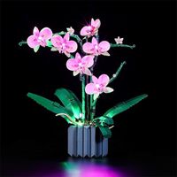 VGEBY Kit de construction d'orchidée avec jeu de lumières LED compatible avec Lego 10311 - Décoration d'affichage pour plantes -
